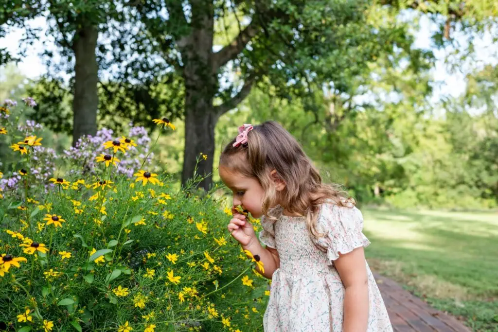 A lively toddler stops to smell a black-eyed-susan in a butterfly garden.